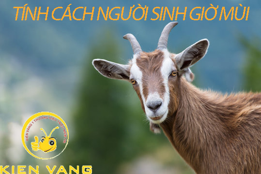 Người sinh vào giờ Mùi thường có tính cách như nào?