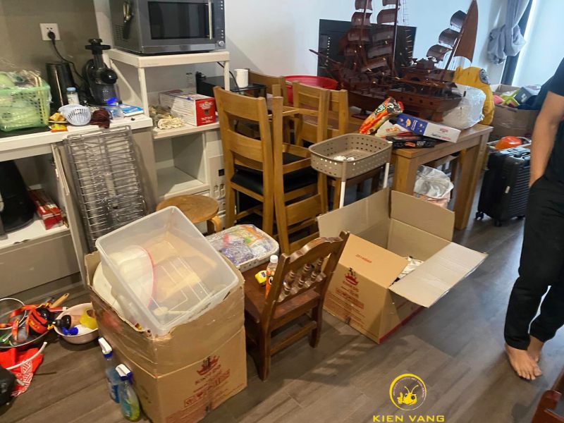 Dịch vụ chuyển nhà trọn gói tại Discovery Complex cung cấp một giải pháp toàn diện cho mọi nhu cầu chuyển nhà của bạn.